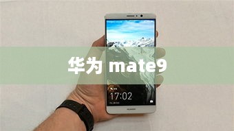 华为 mate9