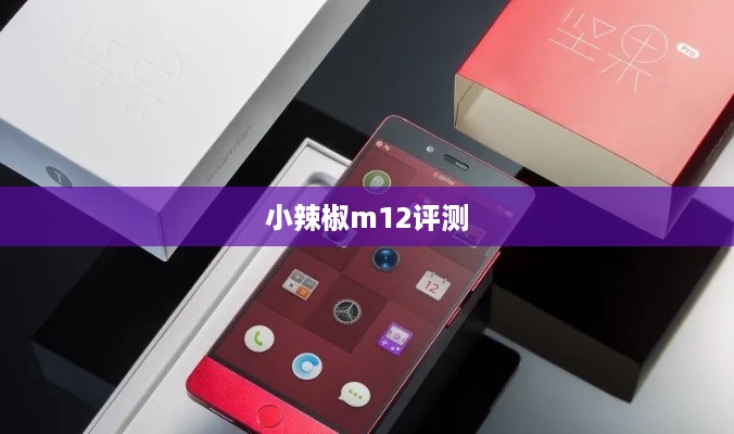 小辣椒m12评测