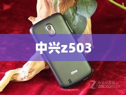 中兴z503