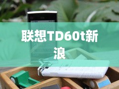 联想TD60t新浪