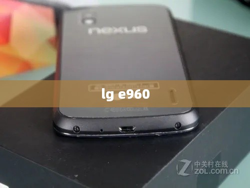 lg e960