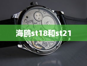海鸥st18和st21