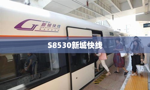 S8530新城快线