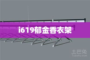 i619郁金香衣架