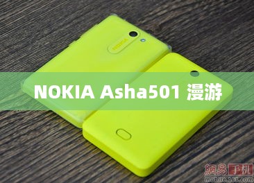 NOKIA Asha501 漫游