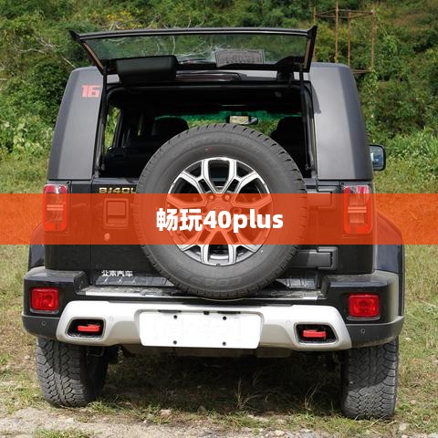 畅玩40plus  第1张