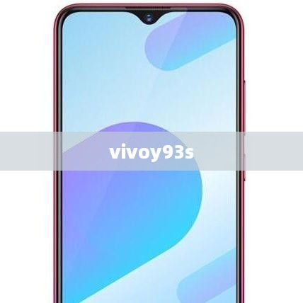 vivoy93s