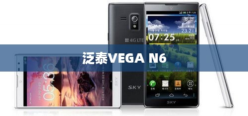 泛泰VEGA N6