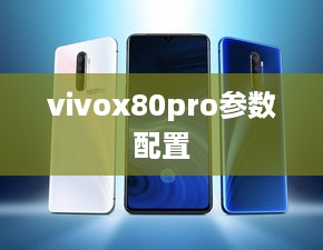 vivox80pro参数配置