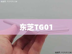 东芝TG01