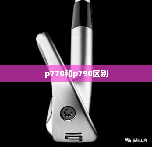 p770和p790区别