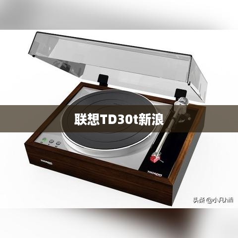 联想TD30t新浪