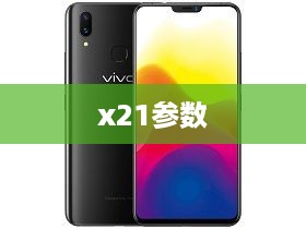 x21参数