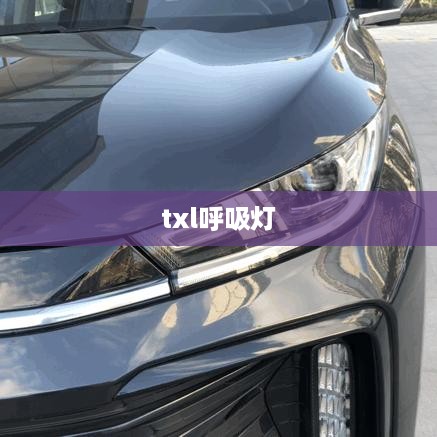 txl呼吸灯