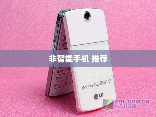 非智能手机 推荐