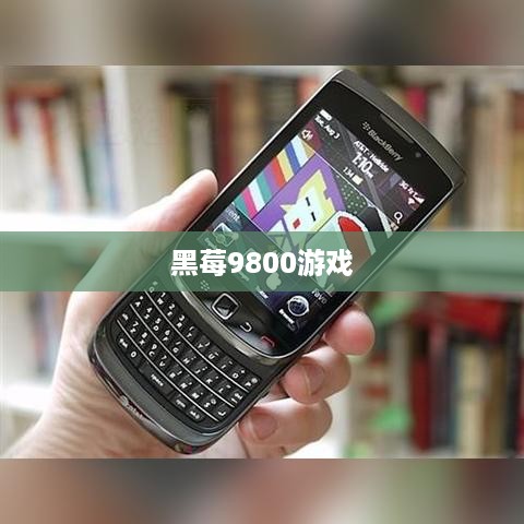 黑莓9800游戏