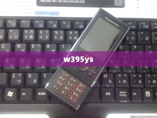 w395ys