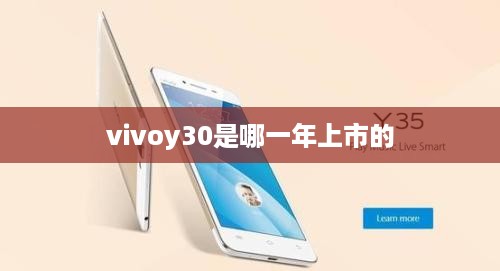 vivoy30是哪一年上市的