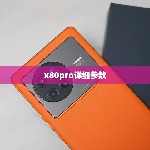 x80pro详细参数