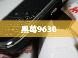 黑莓9630