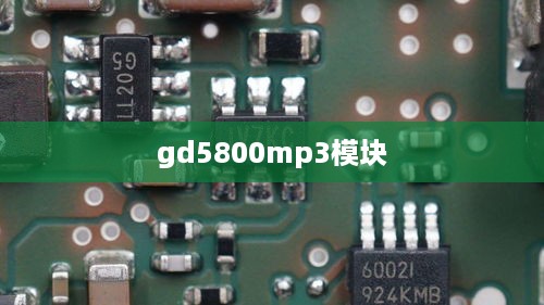 gd5800mp3模块