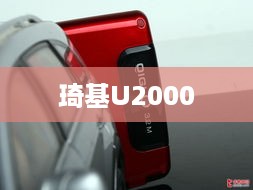 琦基U2000