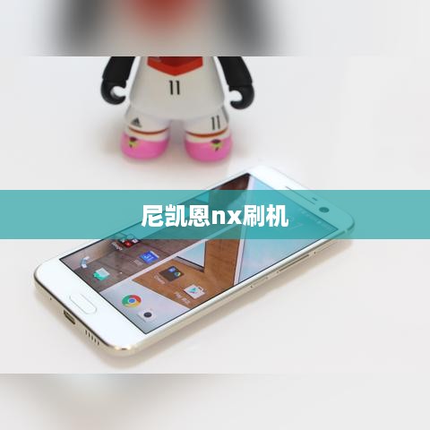 尼凯恩nx刷机