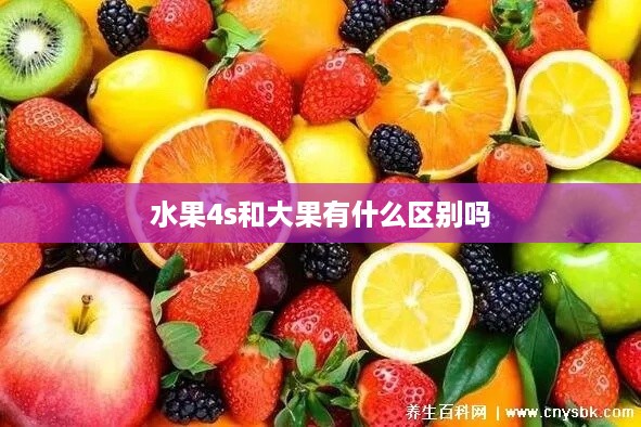 水果4s和大果有什么区别吗