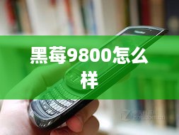 黑莓9800怎么样