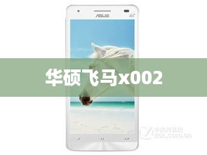 华硕飞马x002  第1张