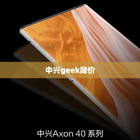 中兴geek降价