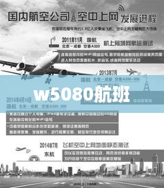 w5080航班  第1张