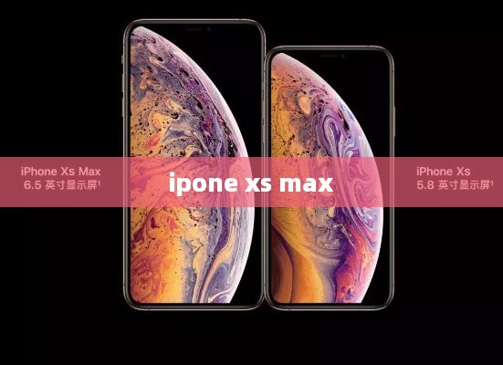 ipone xs max  第1张