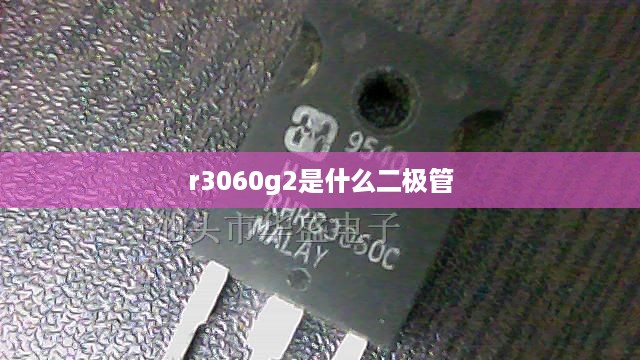 r3060g2是什么二极管