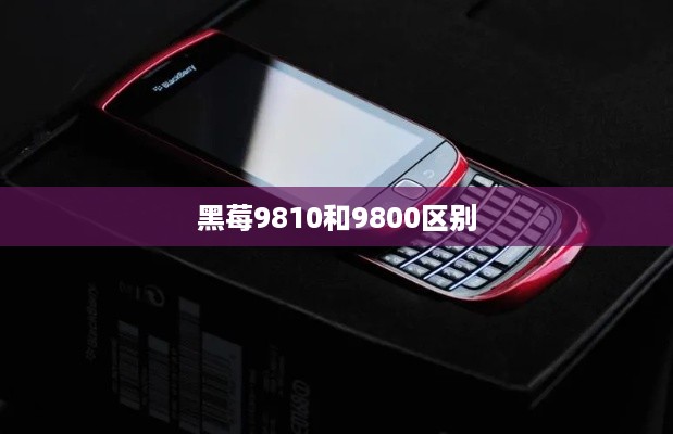 黑莓9810和9800区别