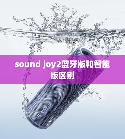 sound joy2蓝牙版和智能版区别  第1张