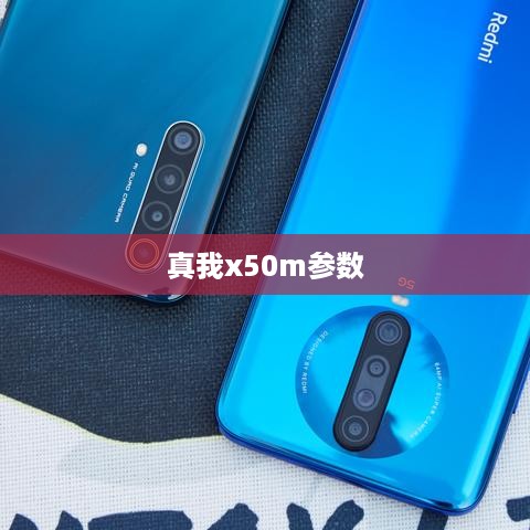 真我x50m参数