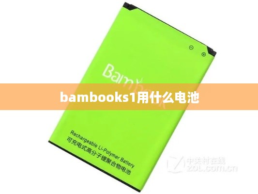 bambooks1用什么电池