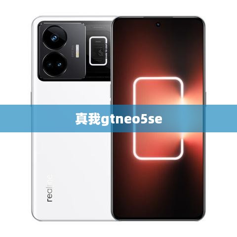 真我gtneo5se
