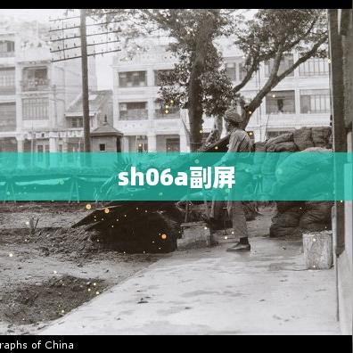 sh06a副屏