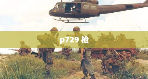 p729 枪