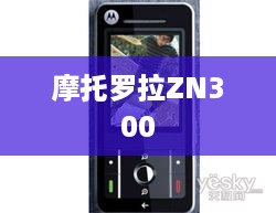 摩托罗拉ZN300