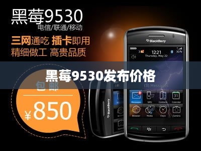 黑莓9530发布价格