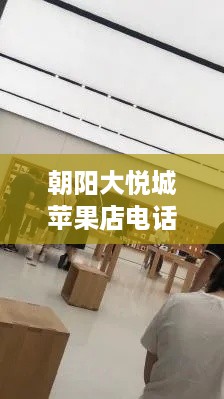 朝阳大悦城苹果店电话