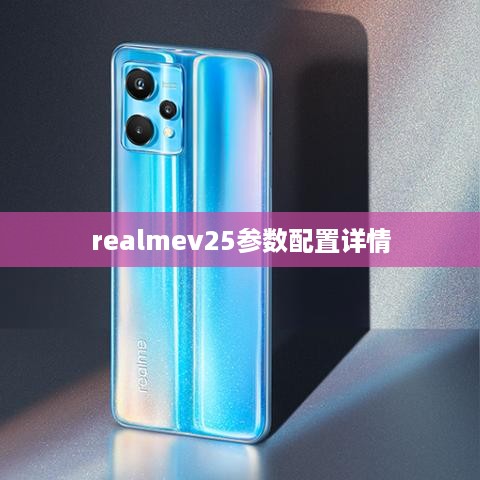 realmev25参数配置详情