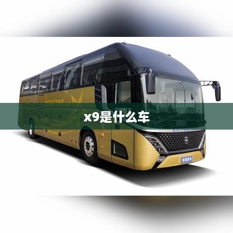 x9是什么车