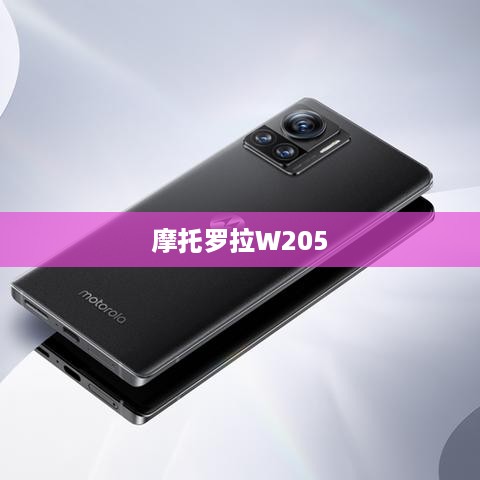 摩托罗拉W205