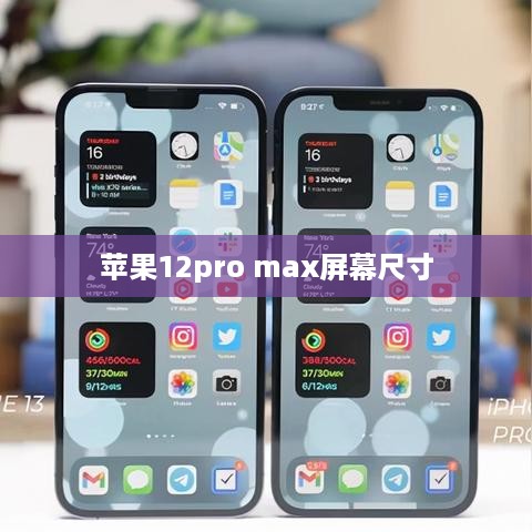 苹果12pro max屏幕尺寸