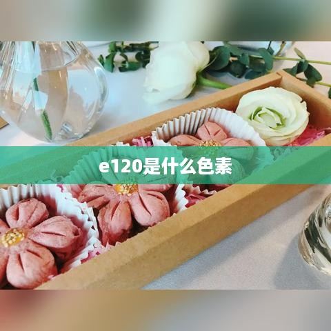 e120是什么色素