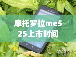 摩托罗拉me525上市时间
